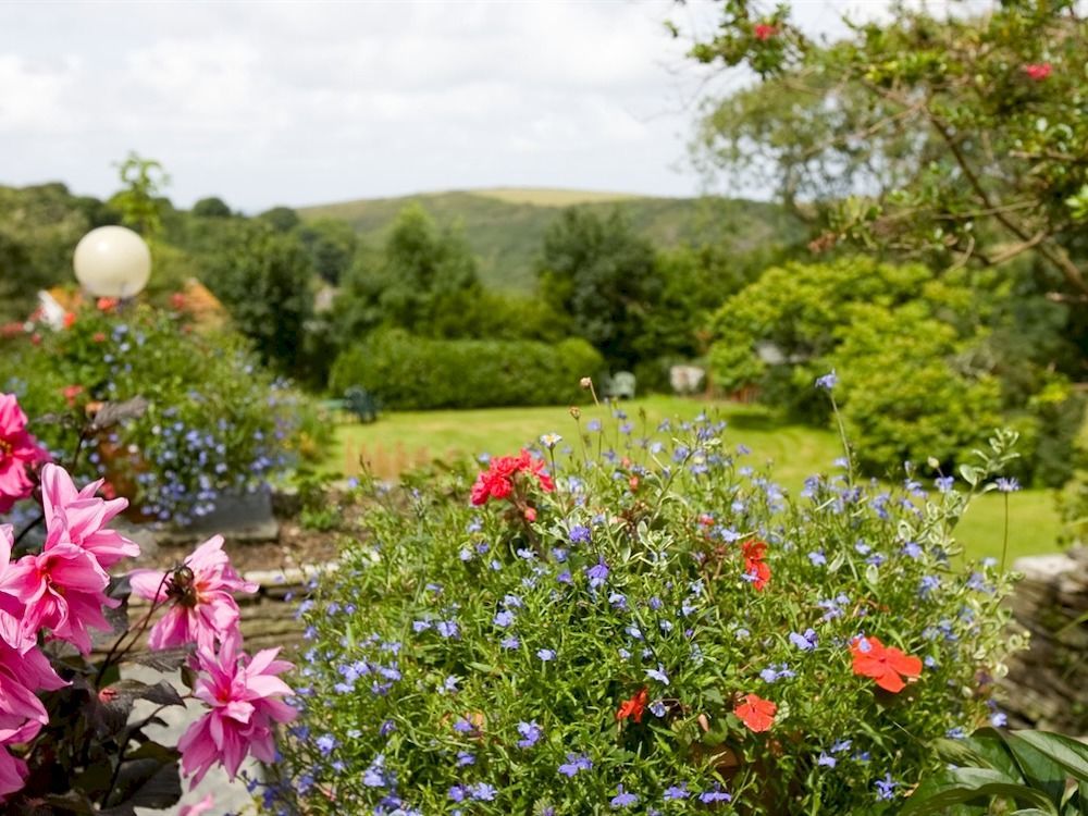 Boscastle House B&B 외부 사진